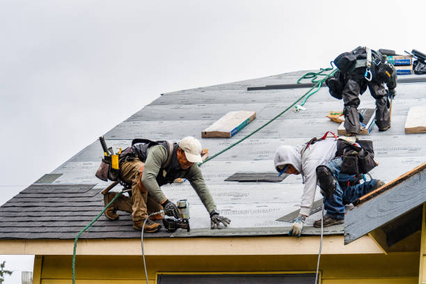 Professional Gutter Installation technician working in Rayne, LA